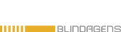 logo sem fundo